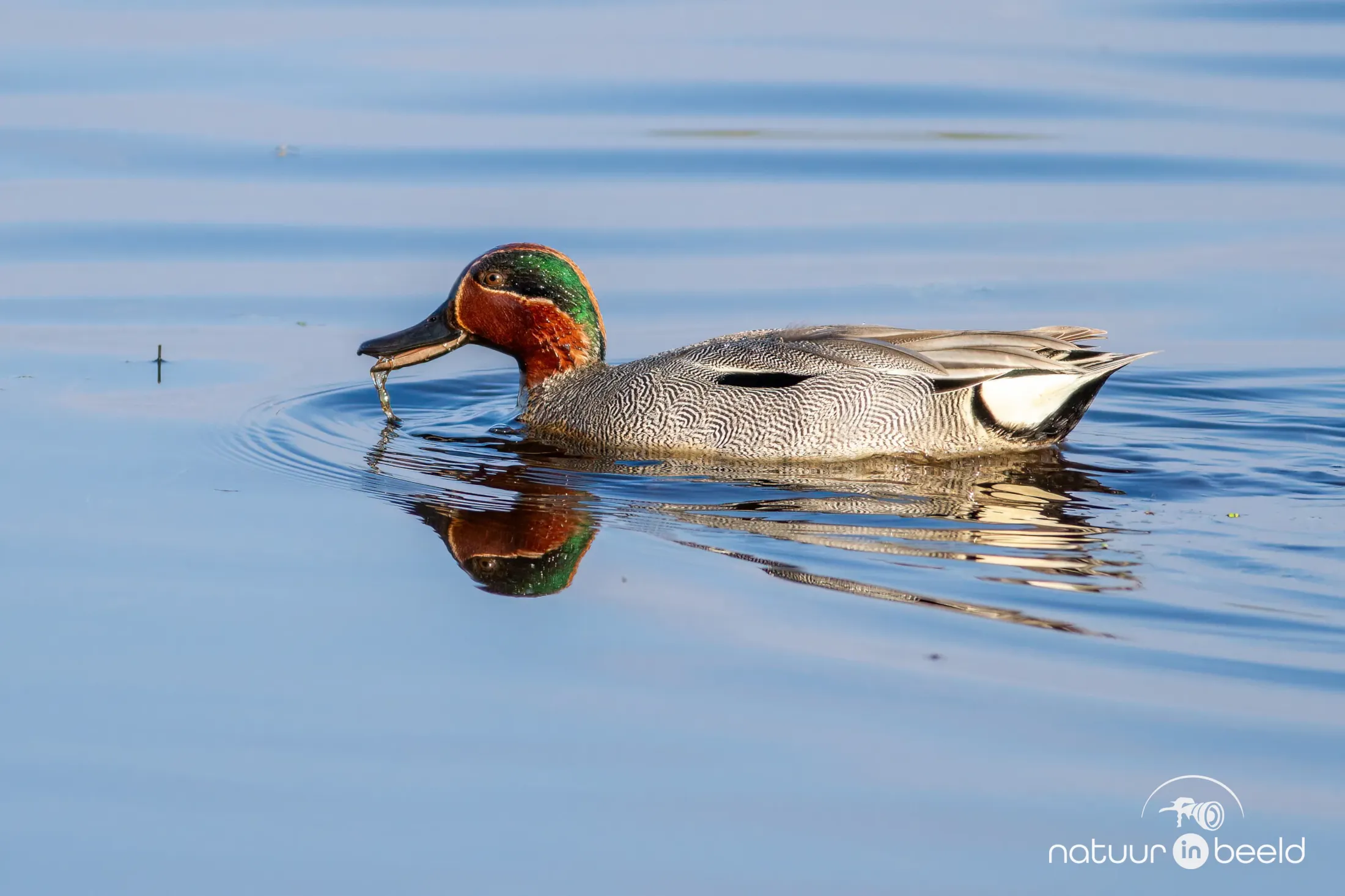Wintertaling