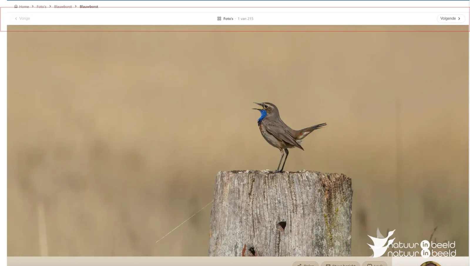 Screenshot - Paging