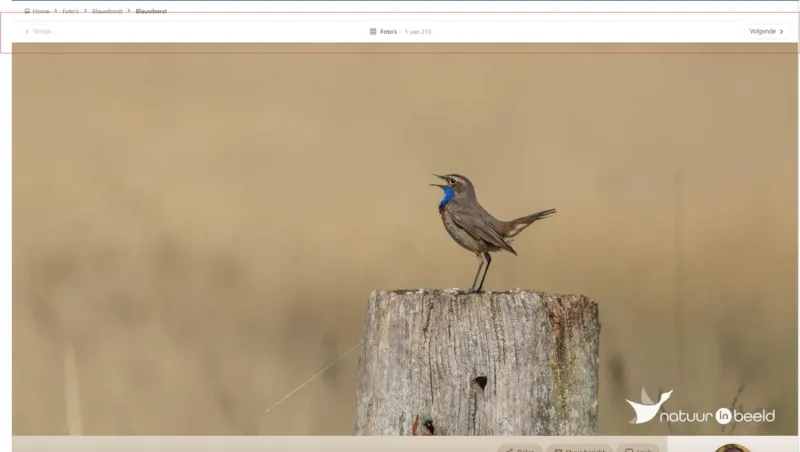 Screenshot - Paging