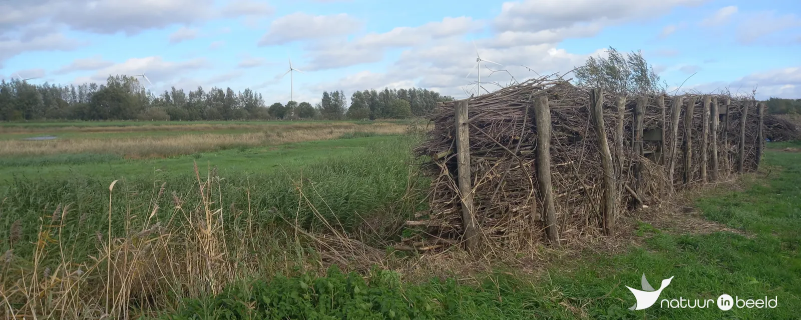 Kelsdonk - Vogelkijkscherm