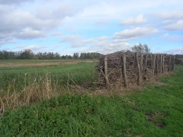 Kelsdonk Vogelkijkscherm