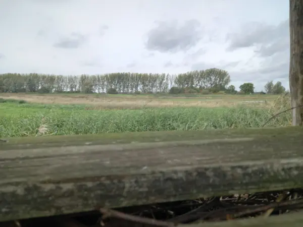 Kelsdonk Vogelkijkscherm